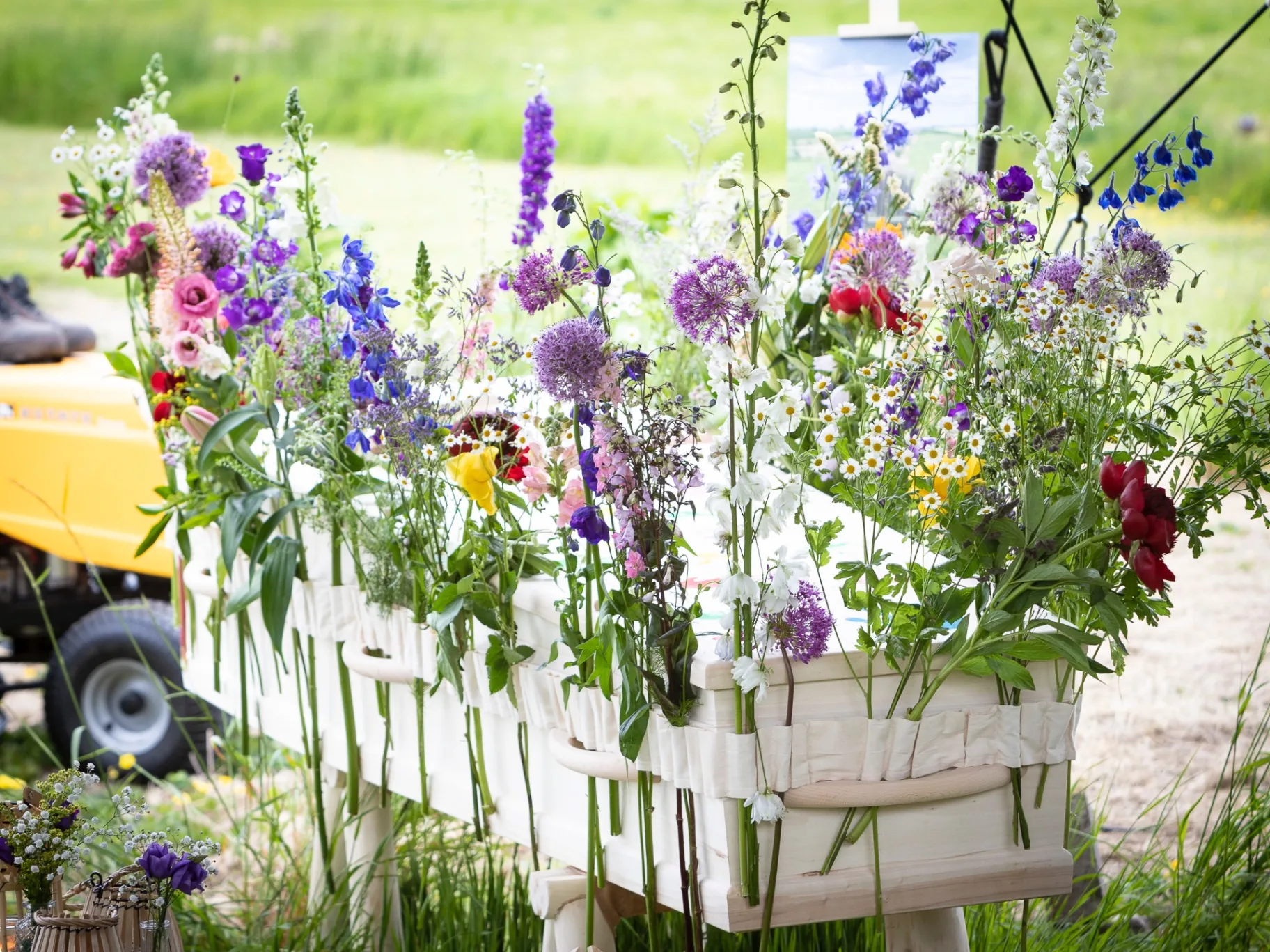 Bloemen en natuur